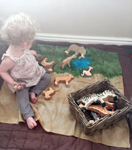 Load image into Gallery viewer, African Savannah Desert Playsilk