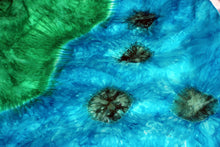 Load image into Gallery viewer, Corner Farm Pond with LilyPads Playsilk