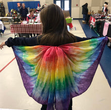 Load image into Gallery viewer, Rainbow Wings DIY Playsilk