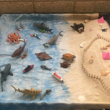 Load image into Gallery viewer, Beach (Pastel) ~ Ocean Playsilk