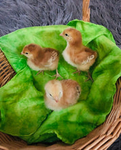 Load image into Gallery viewer, Easter Basket Grass Green Playsilk ~ Spring