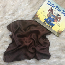Load image into Gallery viewer, Mud Playsilk ~ Dirt ~ Brown